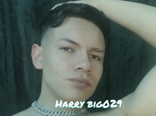 Harry_big029