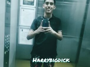 Harrybigdick