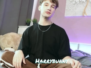 Harrybunny