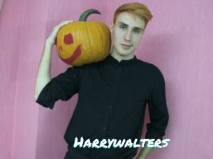Harrywalters