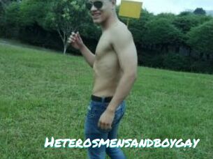 Heterosmensandboygay