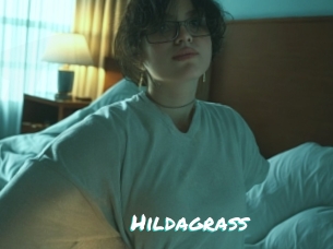 Hildagrass