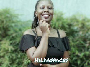 Hildaspaces