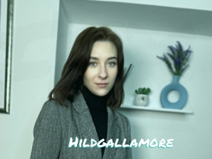 Hildgallamore