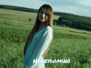 Honeydomino