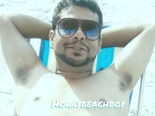 Hornybeachboy