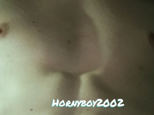 Hornyboy2002