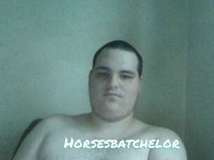 Horsesbatchelor