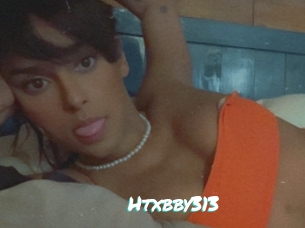 Htxbby313