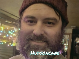Hudsoncane