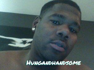 Hungandhandsome