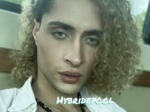 Hybridepool