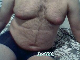Igster