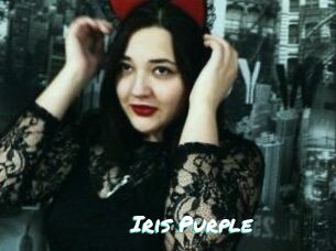 Iris_Purple