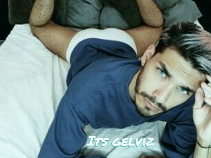 Its_gelviz