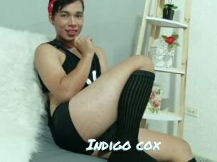 Indigo_cox