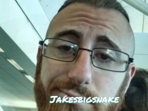 Jakesbigsnake