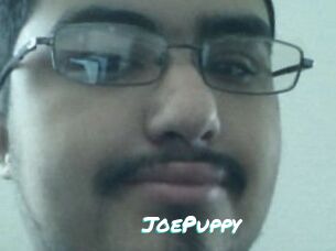 JoePuppy