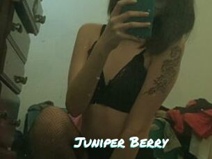 Juniper_Berry