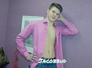 Jacobbud