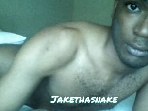 Jake_tha_snake