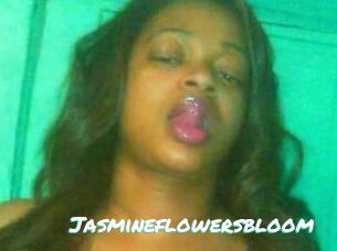 Jasmineflowersbloom