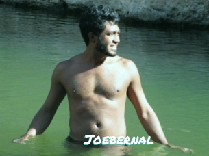 Joebernal