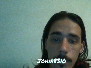 John18310