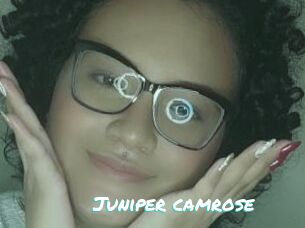 Juniper_camrose