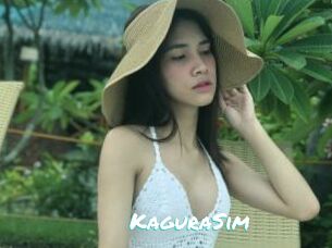 KaguraSim