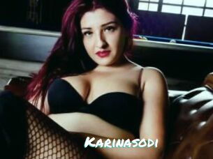 Karinasodi