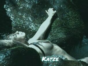 Katze