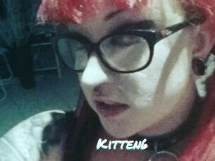 Kitten6