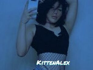 KittenAlex