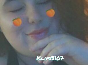 Klips3107