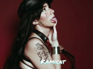 Kamicat