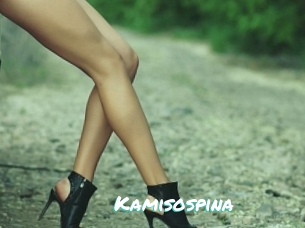 Kamisospina