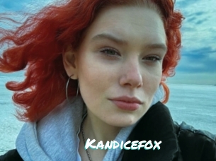 Kandicefox