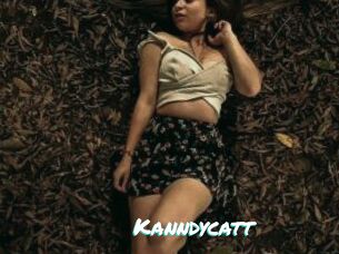 Kanndycatt