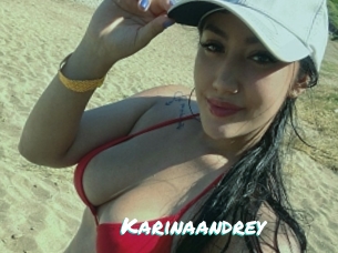 Karinaandrey