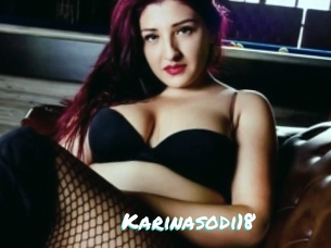 Karinasodi18