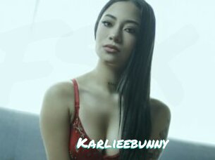 Karlieebunny