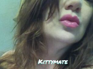 Kittymate