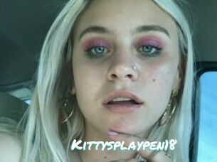 Kittysplaypen18