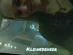 Kleinebeheer