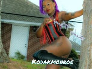 Kodakmonroe