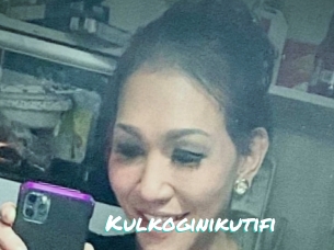 Kulkoginikutifi