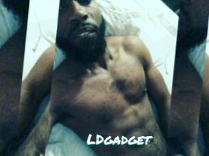 LDgadget