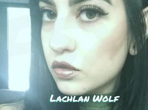 Lachlan_Wolf