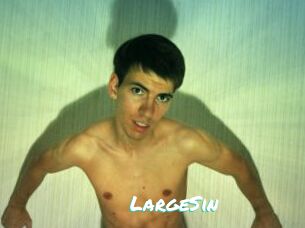 LargeSin